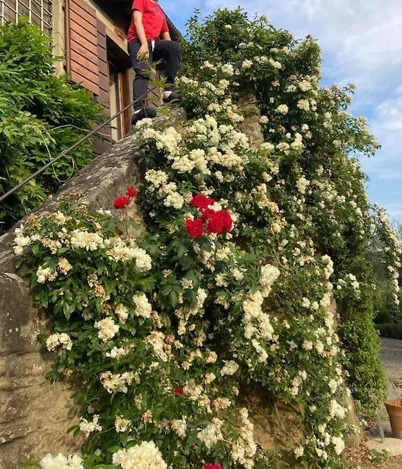 Torretta Filomena Villa Toscana Кортона Италия